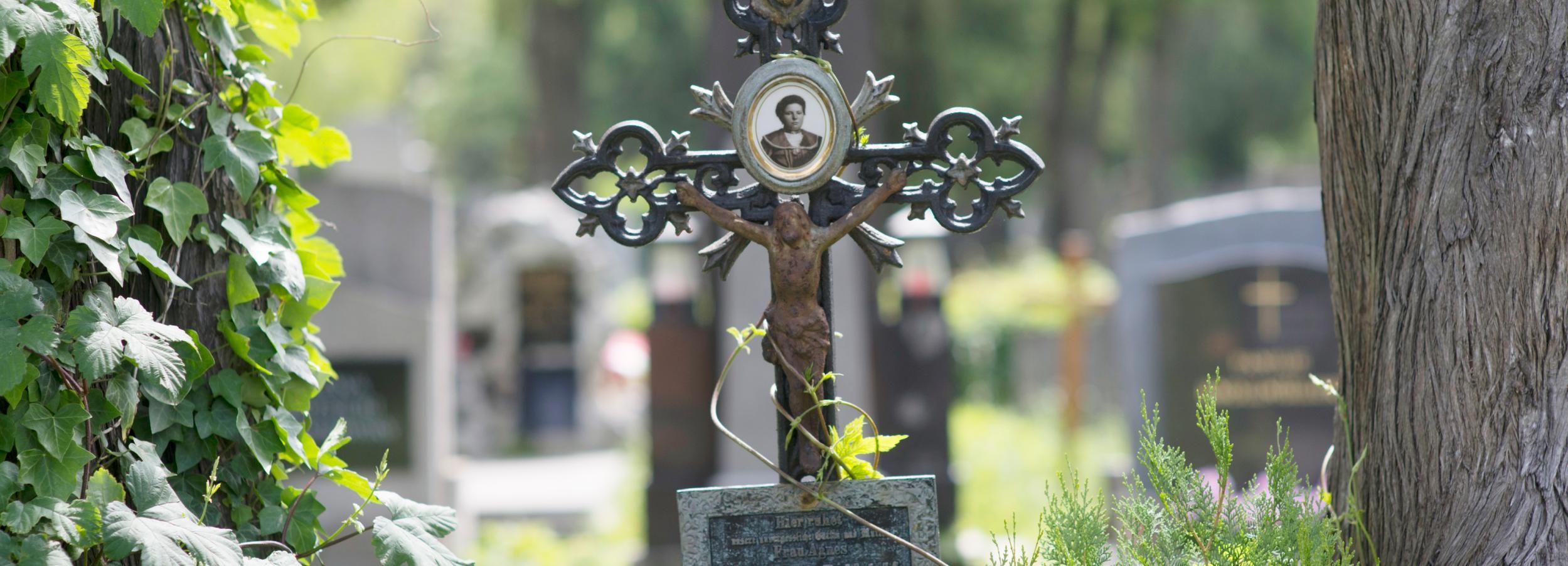 Vienne : cimetière central ‒ la cité des morts