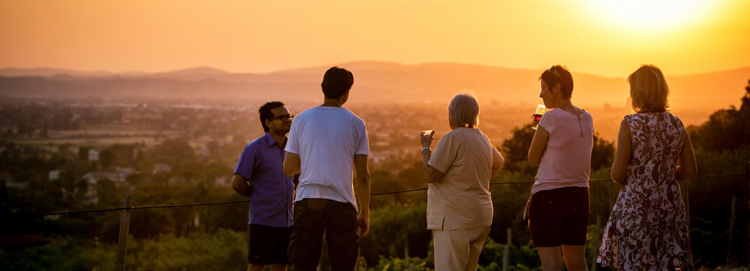 Assisi: tour di una cantina bio, degustazione di vini e cibo