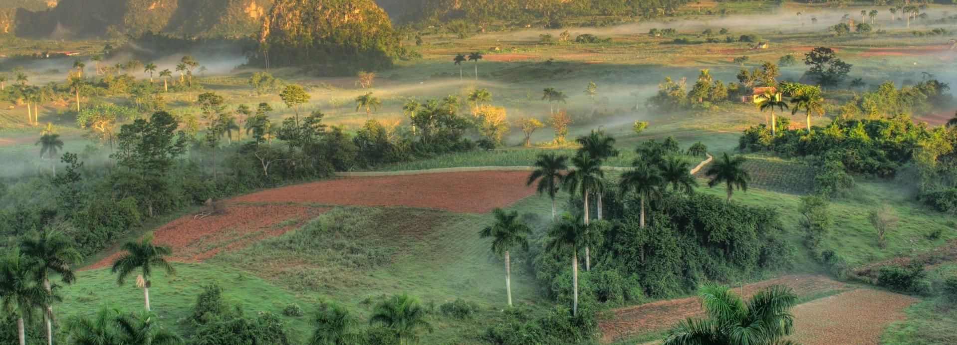 Sunny Viñales Day Tour From Havana