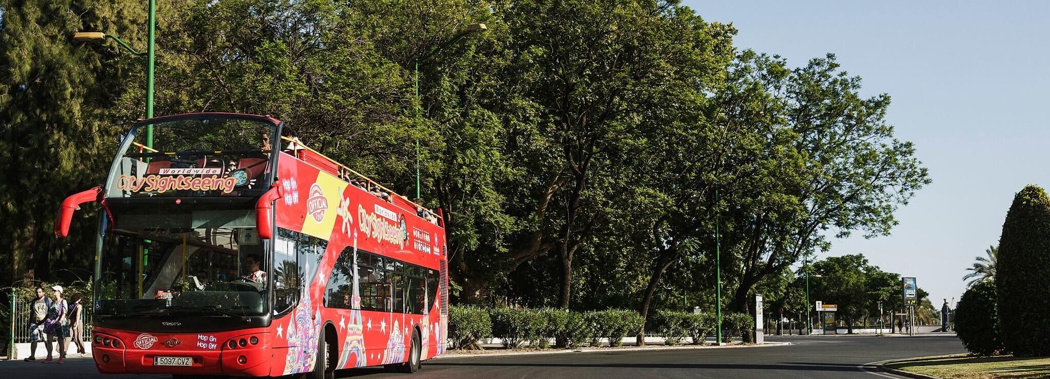 City Sightseeing Chester Hop-on Hop-off Bus Tour