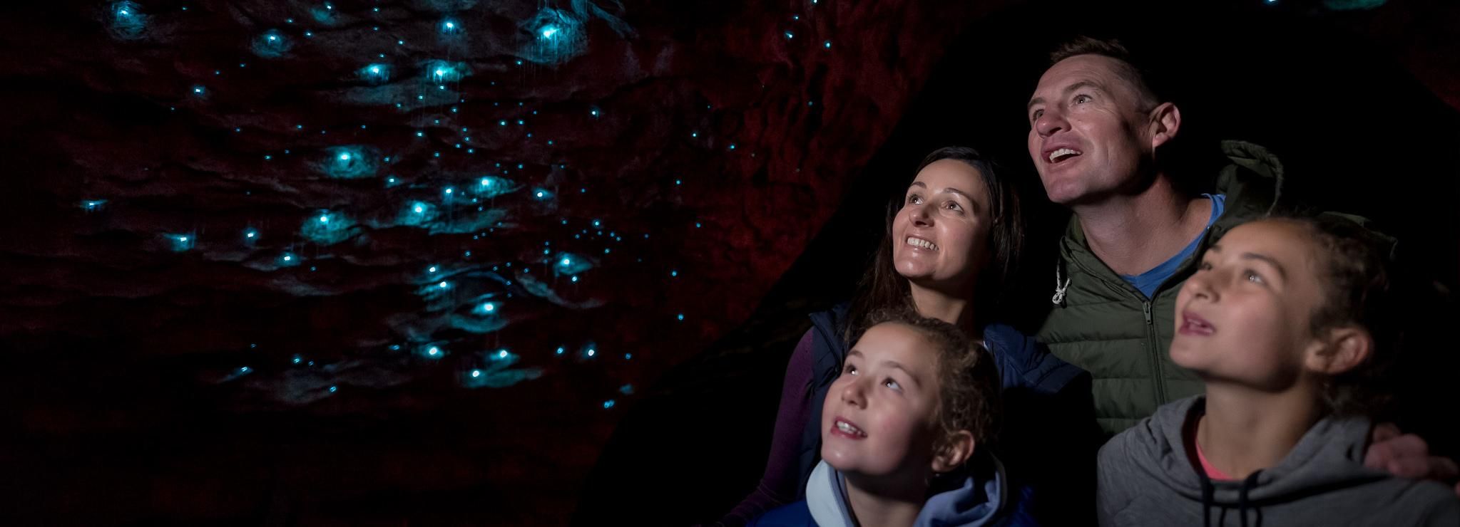 Te Anau Glowworm Caves Guided Tour Getyourguide