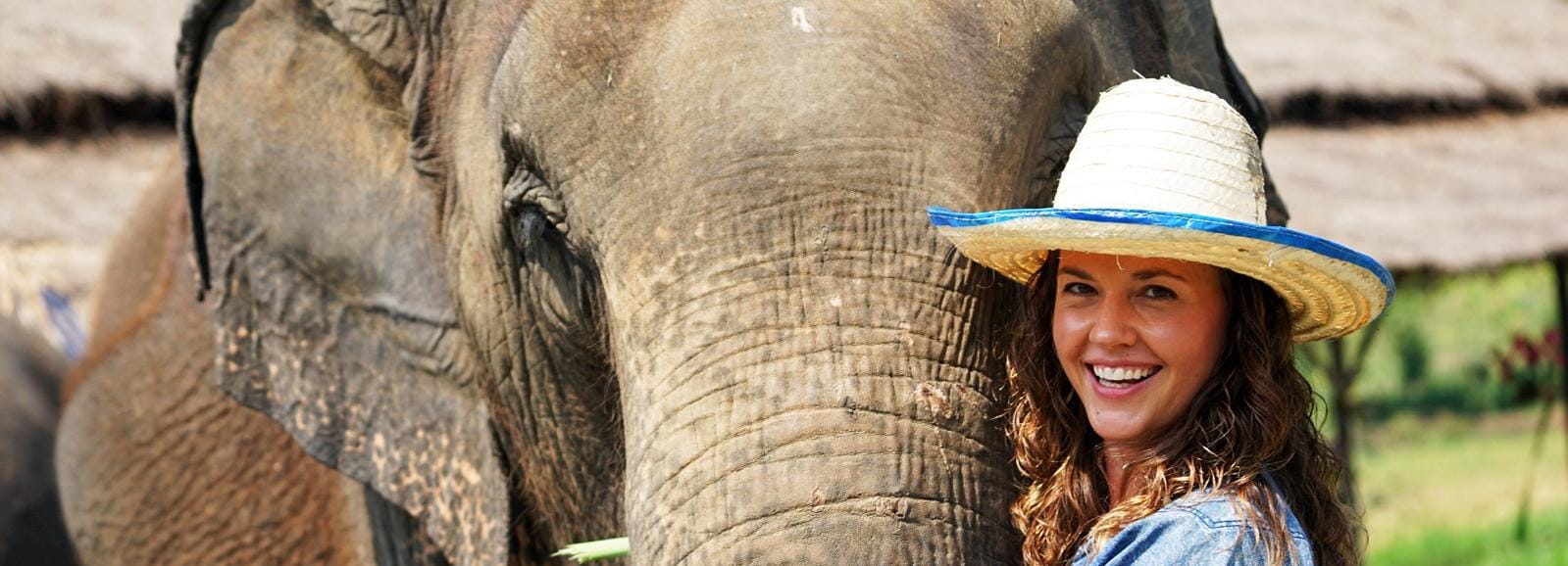 Chiang Mai Elephant Sanctuary Small Group Ethical Tour