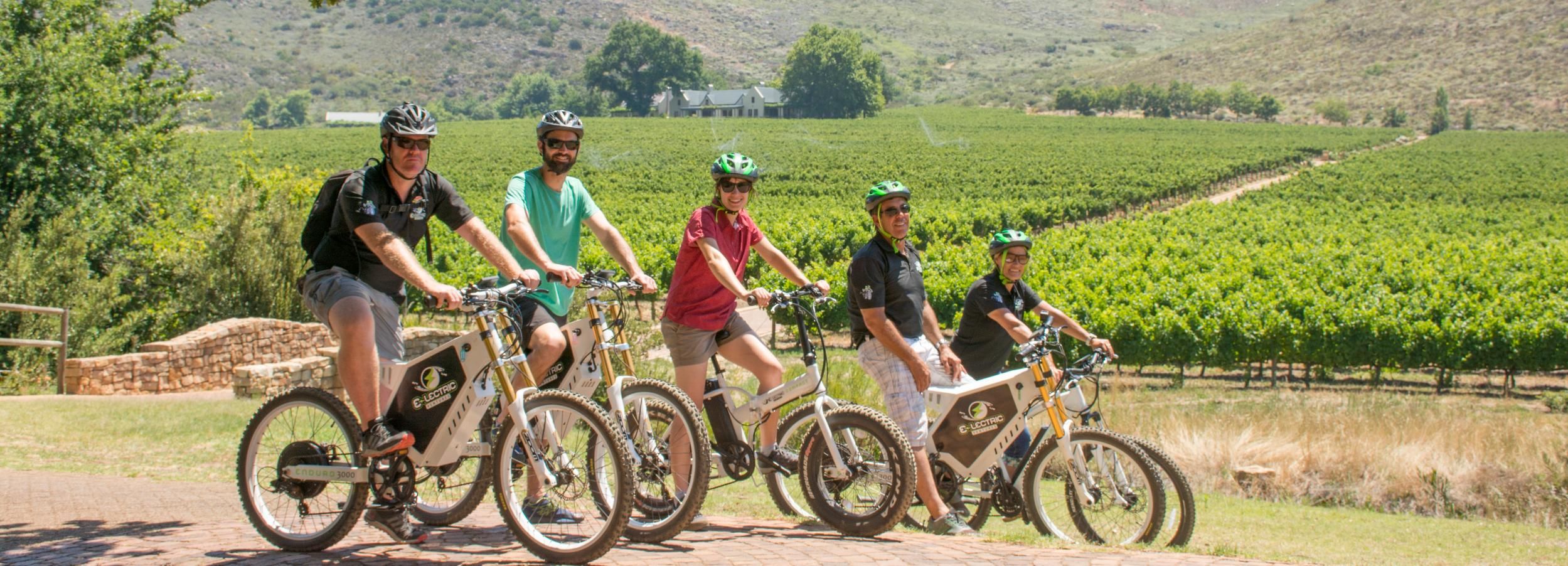 Cape Town: Winelands E-Bike Tour and Tasting Experience