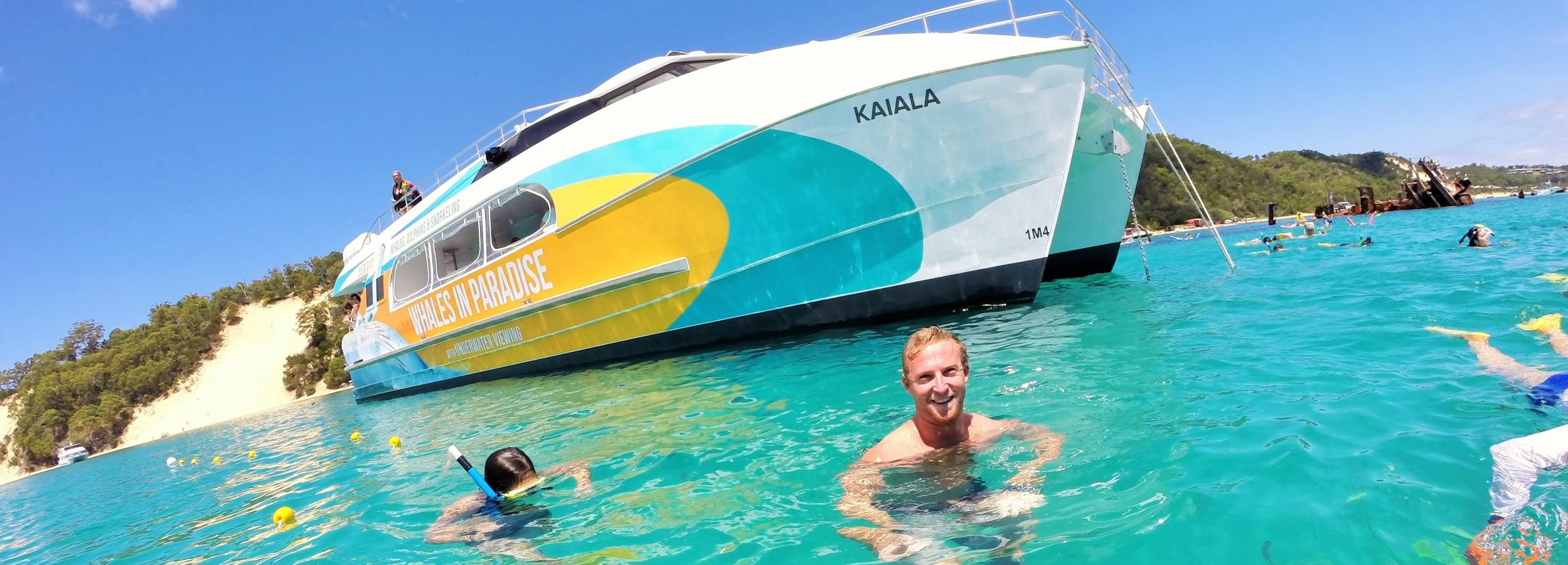 Moreton Island: Dolphin and Snorkel Cruise Adventure