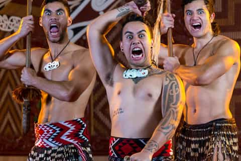 Rotorua: Geothermisches Tal - Landausflug mit Mittagessen