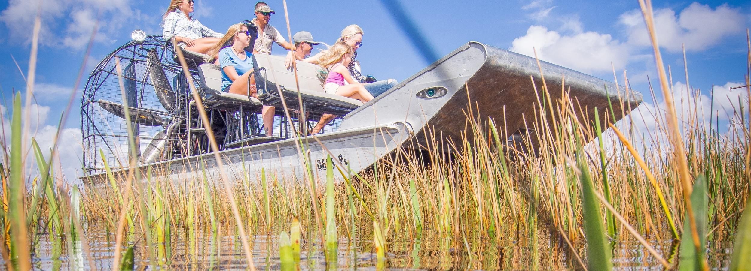 Everglades: tour in airboat e spettacolo faunistico