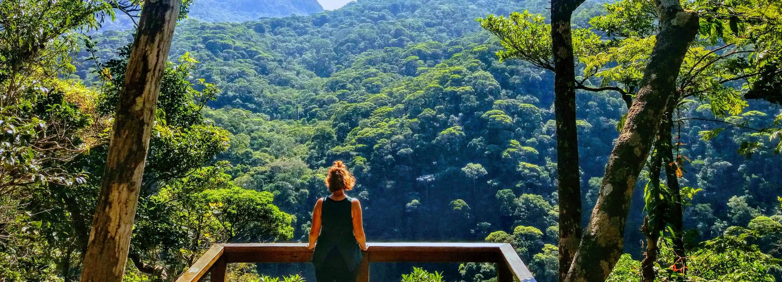 Bosque de la Tijuca: tour familiar guiado en grupo reducido