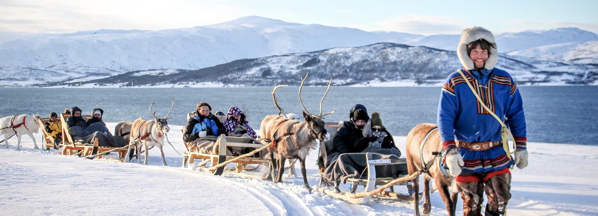 Tromsø: Sleerijden & rendieren voederen met een Sami gids