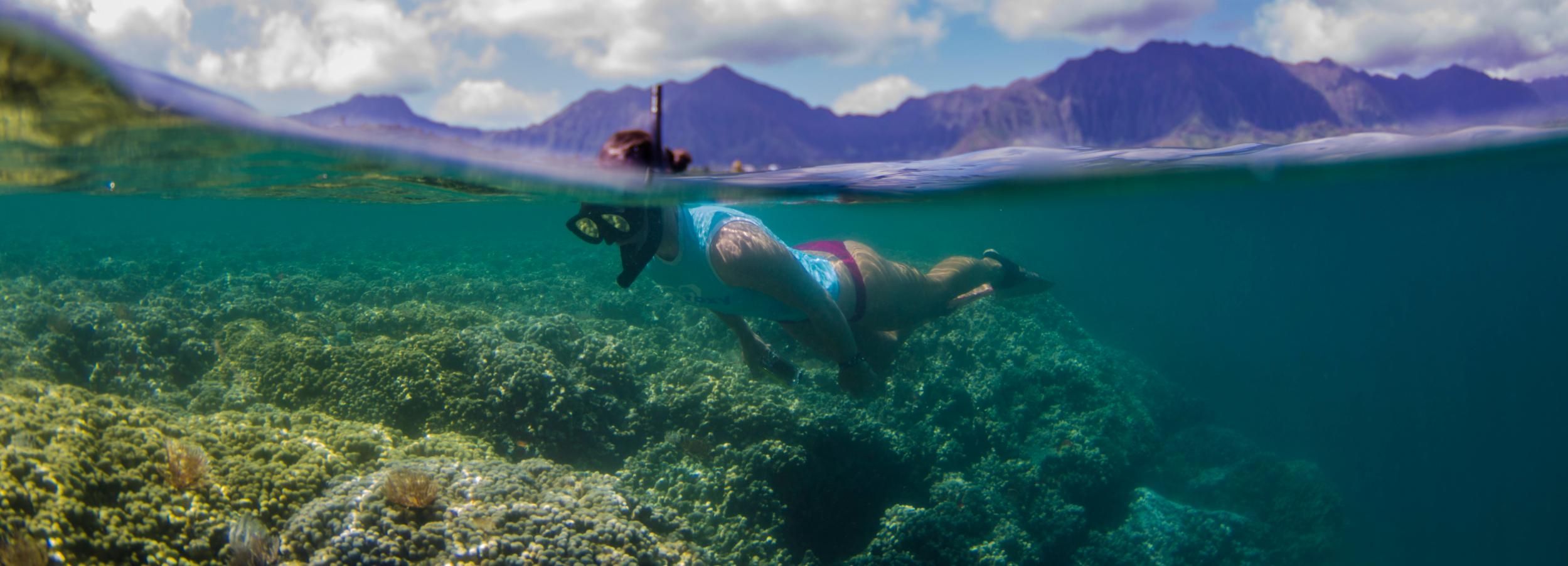 Oahu: Kane'ohe Bay Guided Kayak and Snorkel Adventure