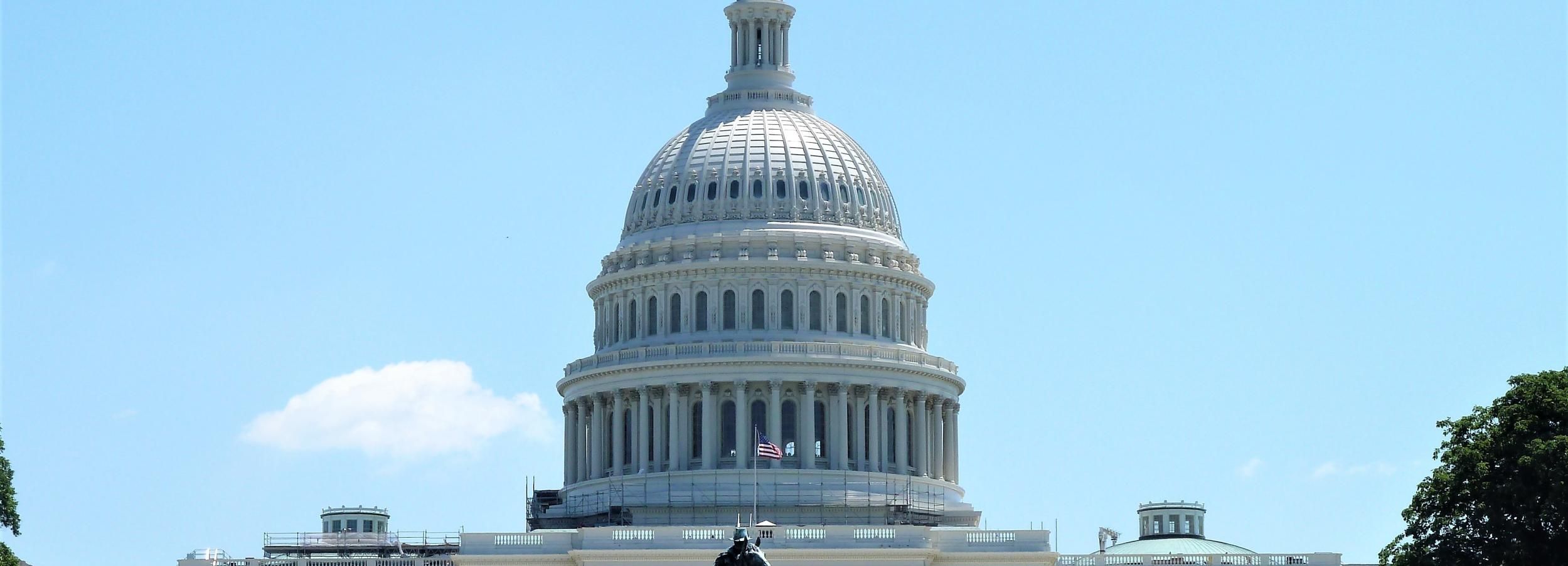 Washington, DC: VIP-Tour mit US-Kapitol & National Archives