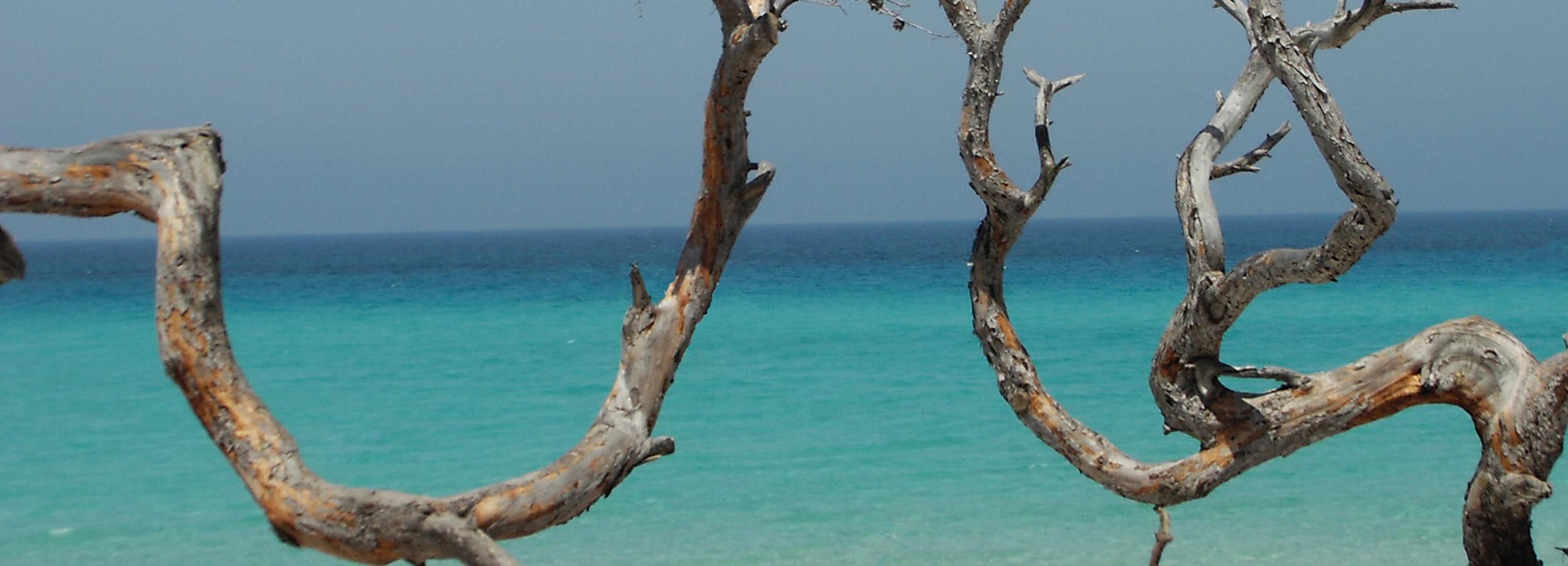Bastia: 4x4 Day Tour to Cap Corse and Saleccia Beach