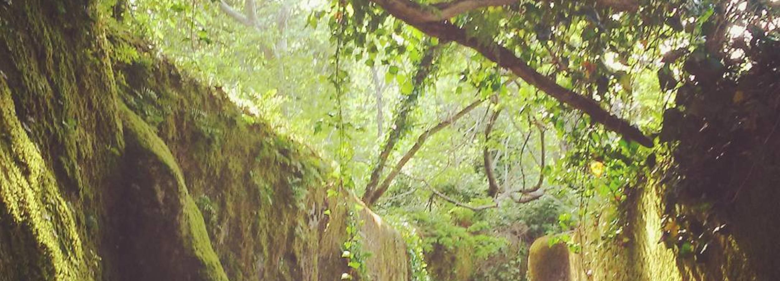 Sintra: Kingdom of Love Private Walking Tour with Historian