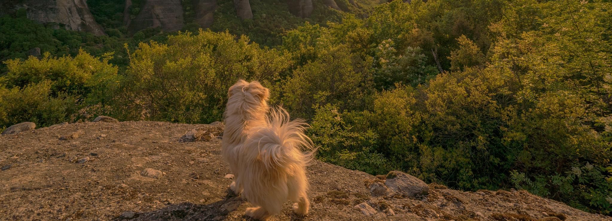 Meteora: visite privée au coucher du soleil