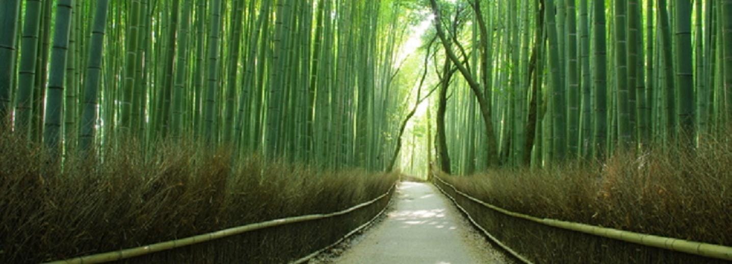 Ab Osaka: Kyoto Top-Sehenswürdigkeiten Tagestour