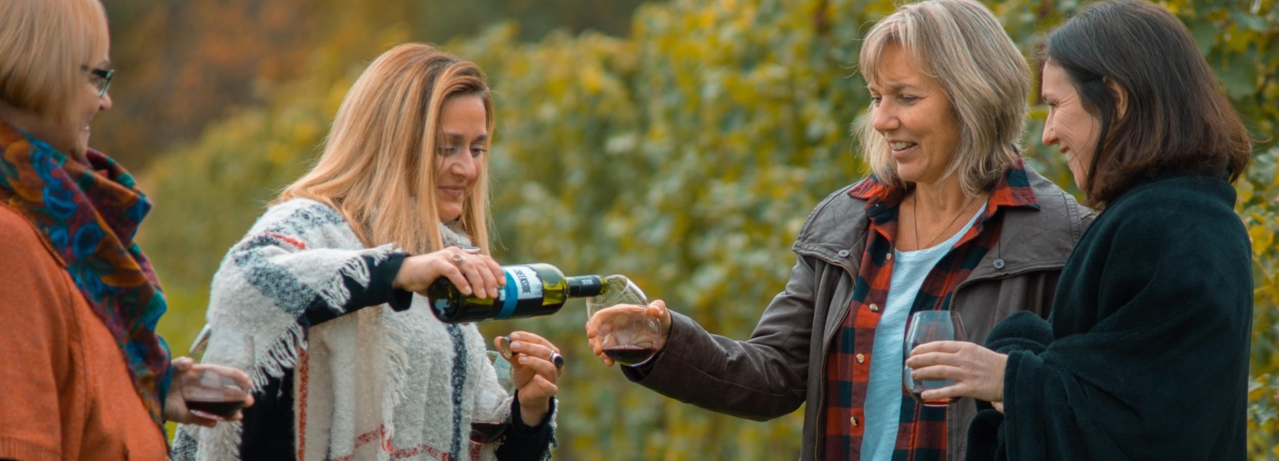Niagara: Half-Day Winery Tour with Tastings & Optional Lunch