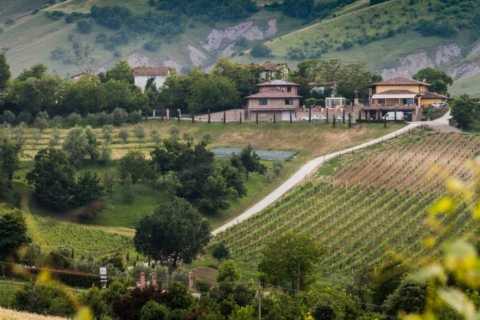 winery tour bologna