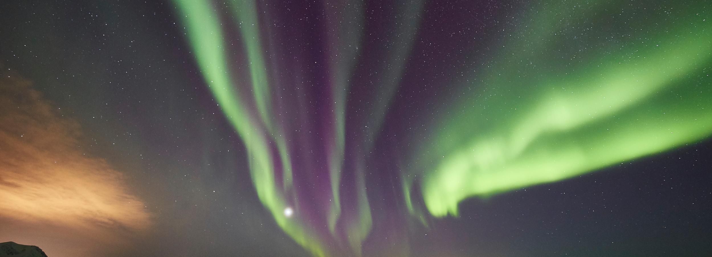Tromsø: Private 6-Hour Aurora Chase van Minivan