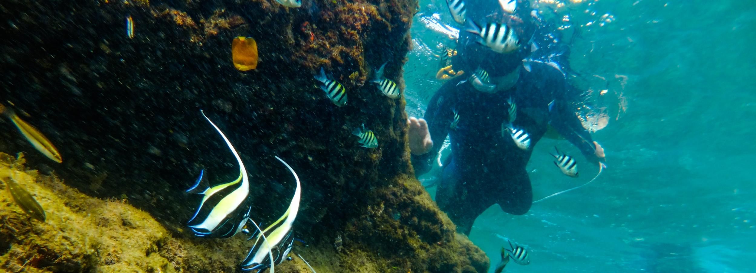 Saint Lucia: snorkelavontuur Cape Vidal