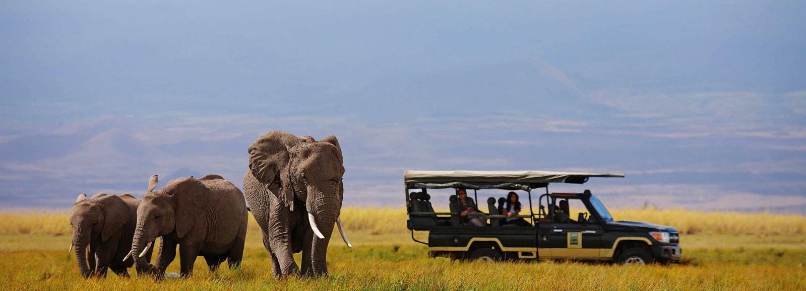 Nairobi: 4-Day Maasai Mara and Lake Nakuru Camping Safari