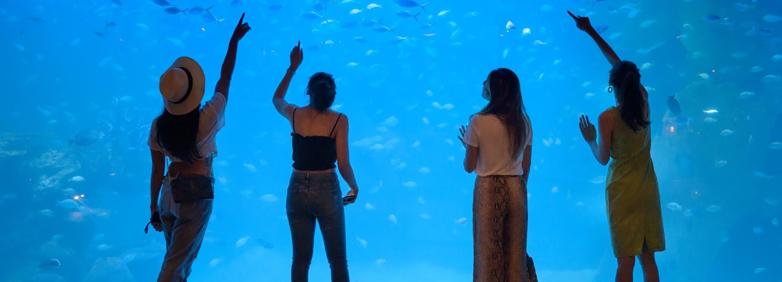 Phuket: Aquaria Phuket Tickets with Trick Eye Museum