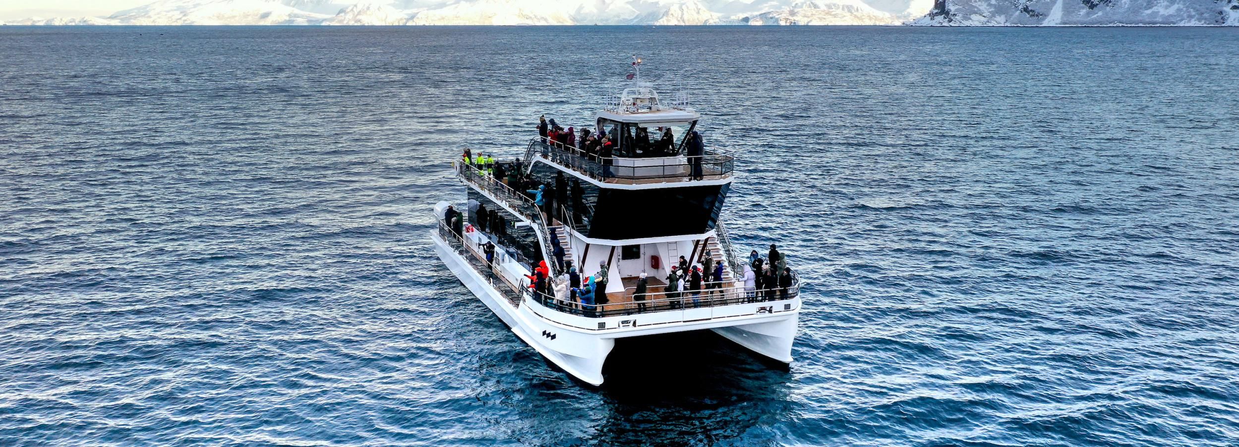 Tromsø: walvissen spotten per hybride-elektrische Catamaran