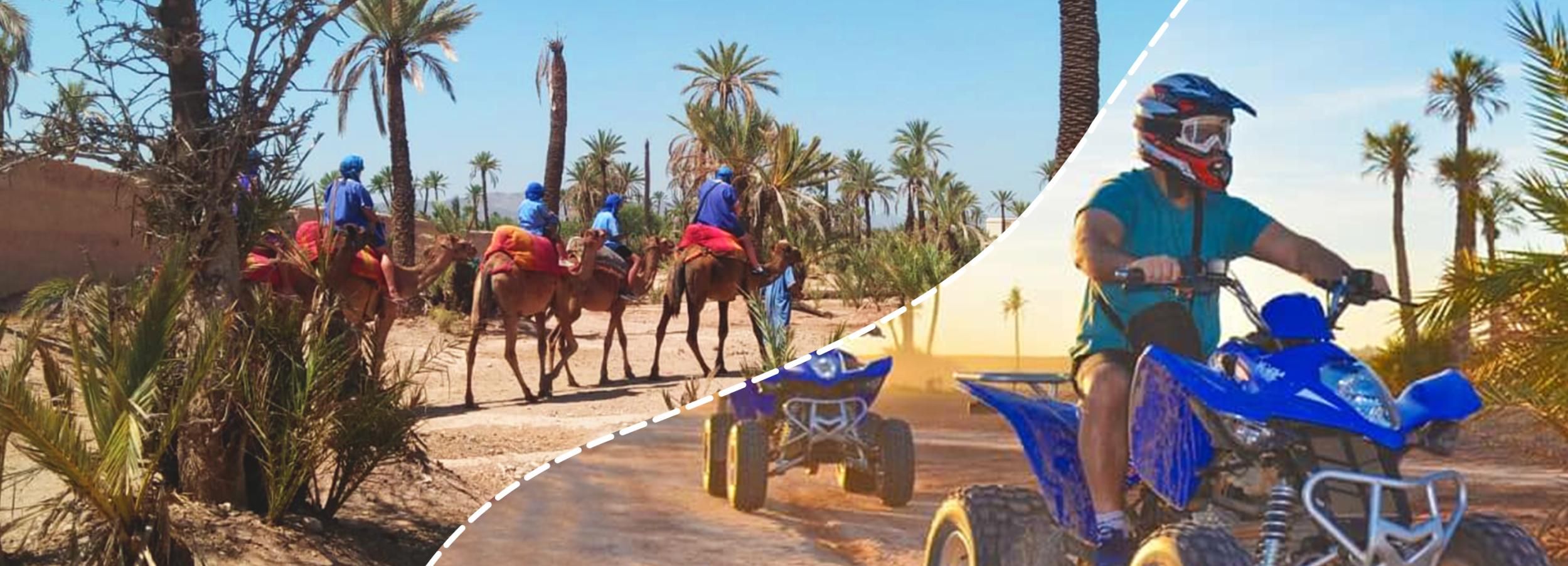 Marrakech Palmeraie: Camel Ride & Quad Bike Experience