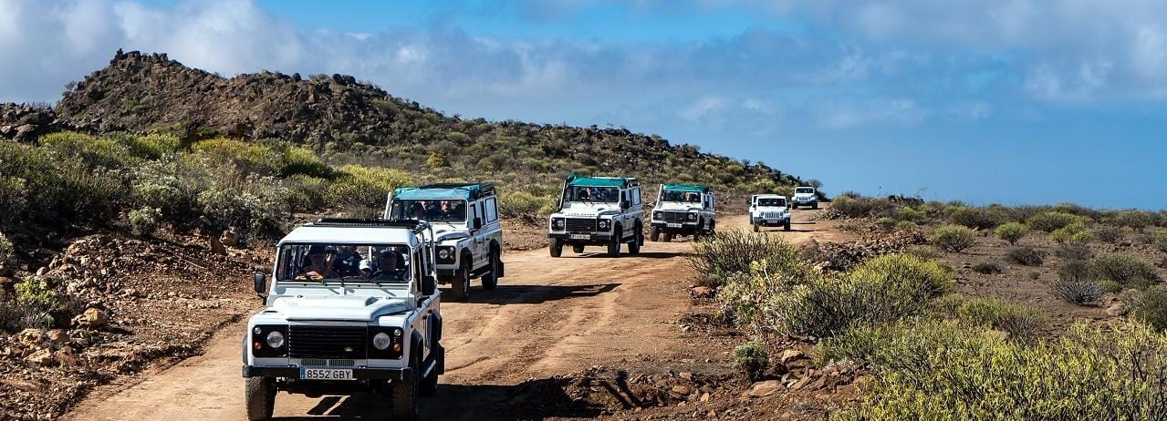 Från Playa del Inglés: Jeep-safari till Fataga