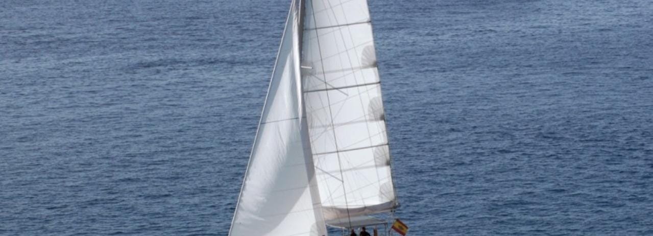 Fuerteventura: Small Group Magic Deluxe Catamaran Cruise