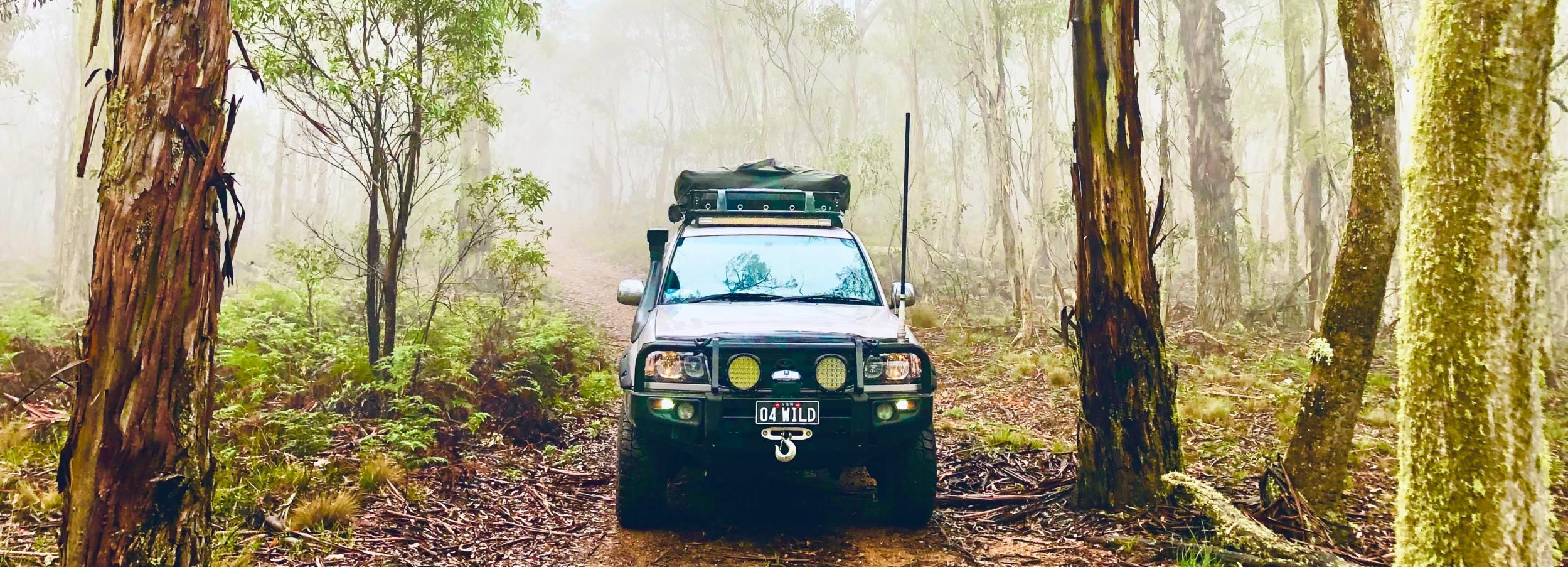 Sydney: Blue Mountains, Jenolan Caves, and Kanangra Lookout
