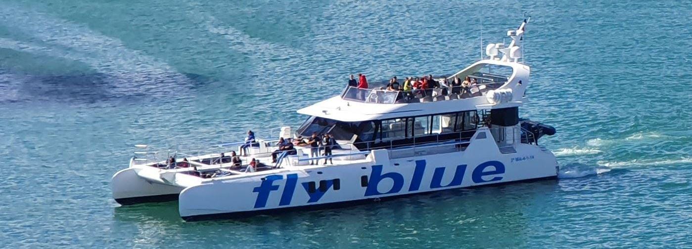 Málaga: viaje en catamarán