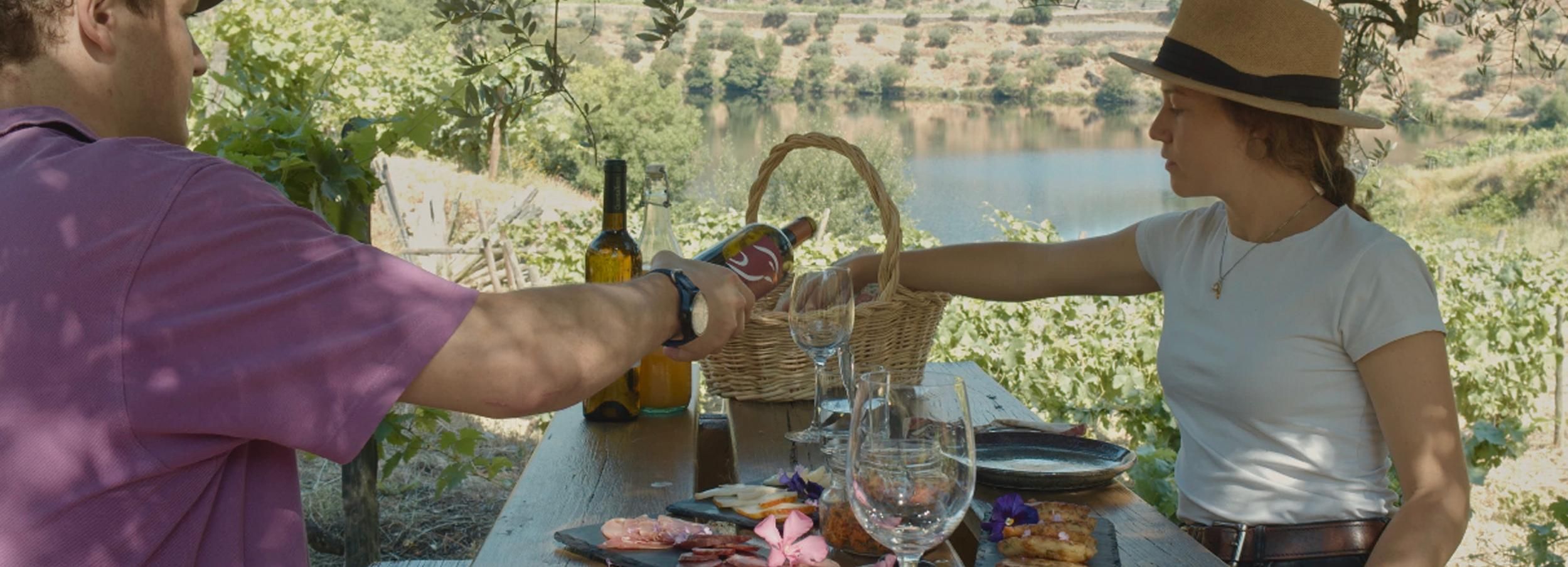 Douro Valley: Scenic Picnic at Quinta do Tedo Winery