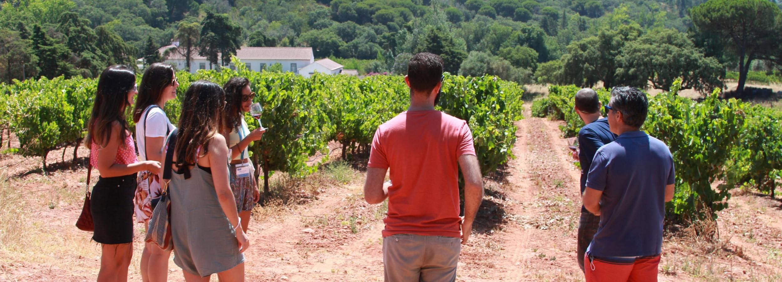 Excursão a Arrábida e Sesimbra com Degustação de Vinhos