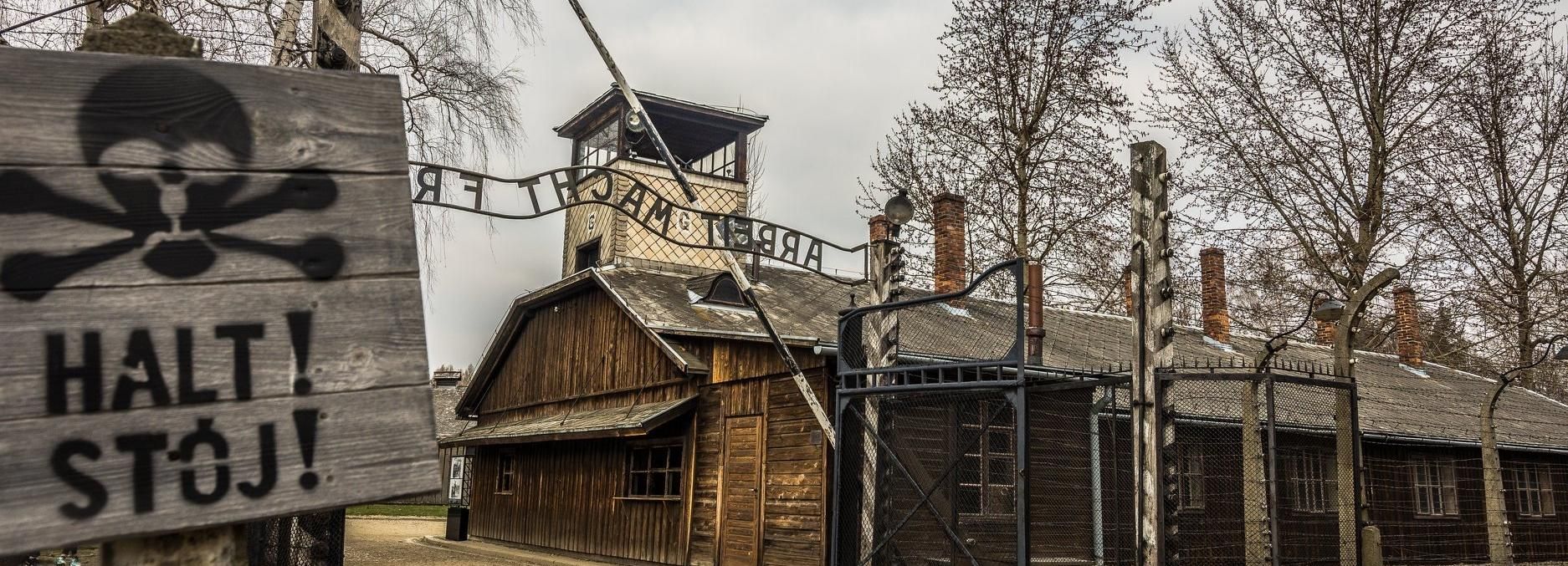 Auschwitz-Birkenau: ingresso rapido e tour guidato