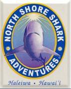 North Shore Shark Adventures