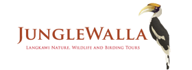 JungleWalla Tours