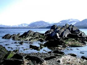 Northern Tours of Alaska
