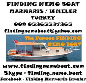 FINDING NEMO BOAT FISHING AND BOAT TRIPS | GetYourGuide Supplier