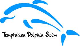Temptation Dolphin Swim