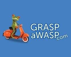 GRASPaWASP