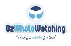 Oz Whale Watching
