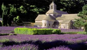 Provence Explorer