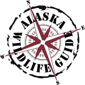 Alaska Wildlife Guide LLC