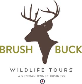 BrushBuck Wildlife Tours