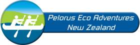 Pelorus Eco Adventures