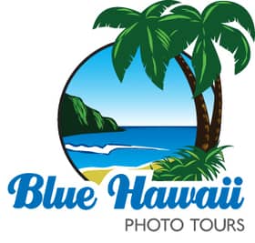 Blue Hawaii Private & Photo Tours