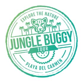 jungle buggy tour