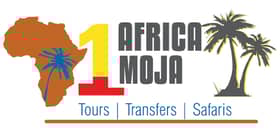 Africa Moja Tours & Safaris