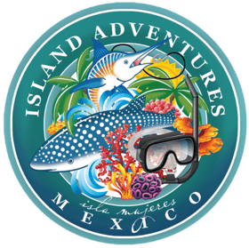 Island Adventures Mexico GetYourGuide Supplier
