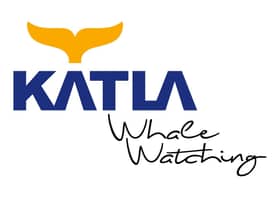 Katla Whale Watching