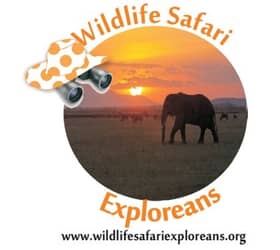 Wildlife Safari Exploreans